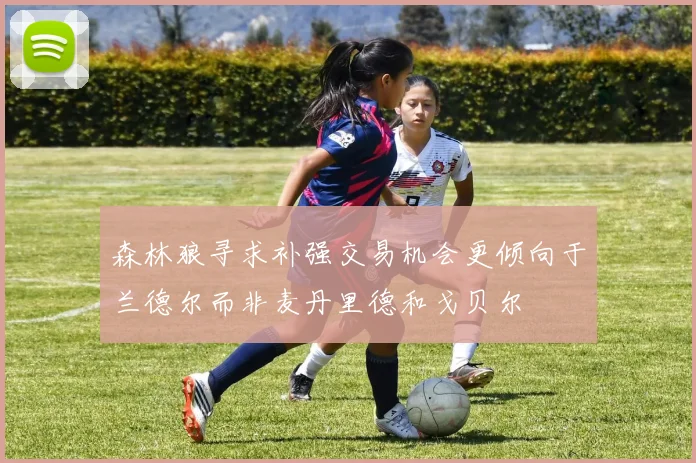 森林狼寻求补强交易机会更倾向于兰德尔而非麦丹里德和戈贝尔