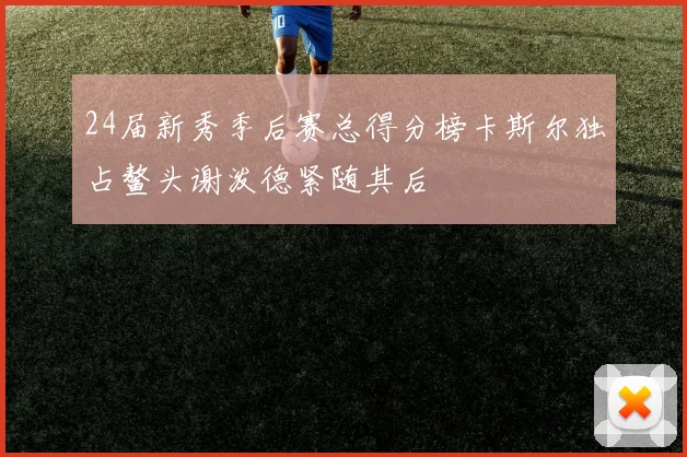 24届新秀季后赛总得分榜卡斯尔独占鳌头谢泼德紧随其后