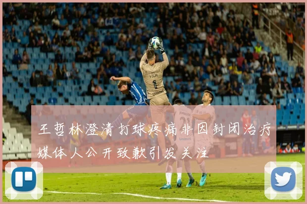 王哲林澄清打球疼痛非因封闭治疗媒体人公开致歉引发关注