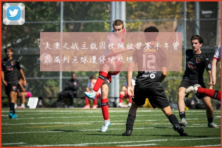 美澳之战主裁因收贿被禁赛半年曾因漏判点球遭停哨处理